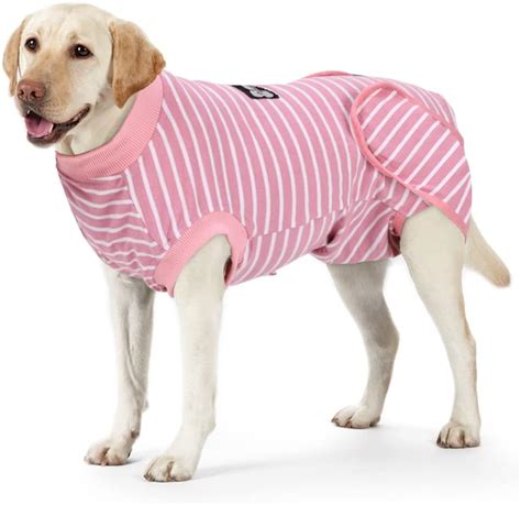 dog surgery recovery suit|More.